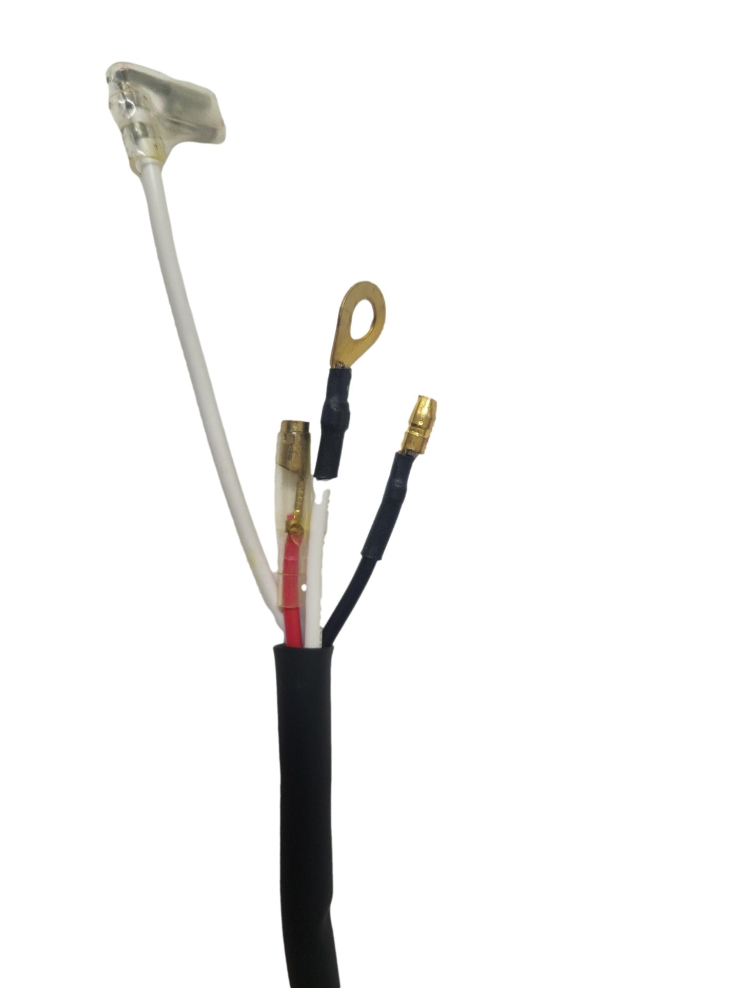 FINO-003B: Ignition Switch W/Keys