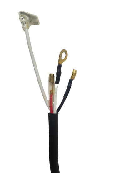 FINO-003B: Ignition Switch W/Keys