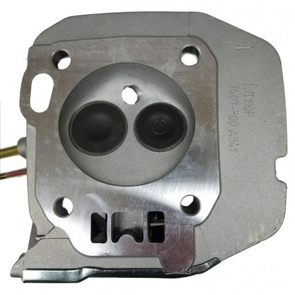 LTGP-008: COMPLETE HEAD ASSY W/ HEAD GASKET