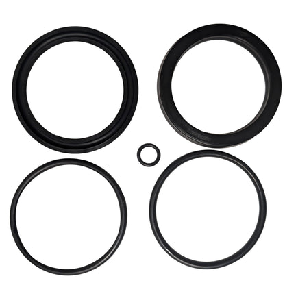 PCBP-1203-1: RAM SEAL KIT