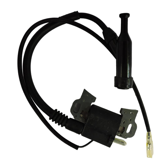 TI 12-21: Ignition Coil